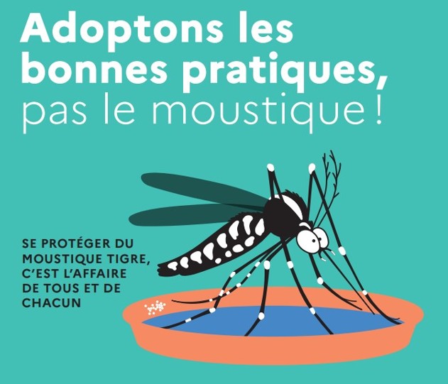 Lutte contre les moustiques tigres