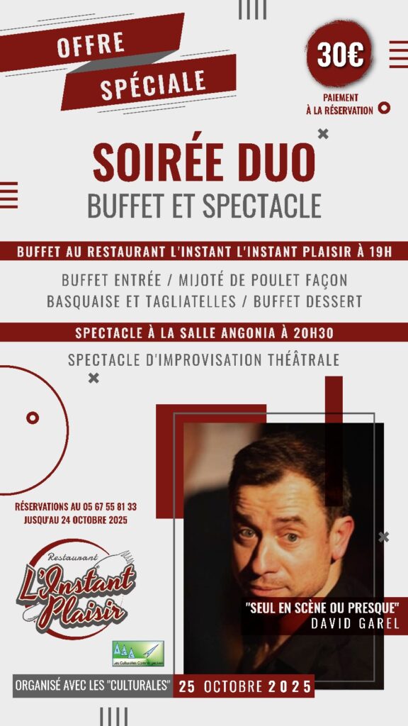 Spectacle théâtre improvisation David GAREL « Seul ou presque »