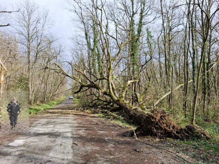 Interdiction d’accès aux forêts