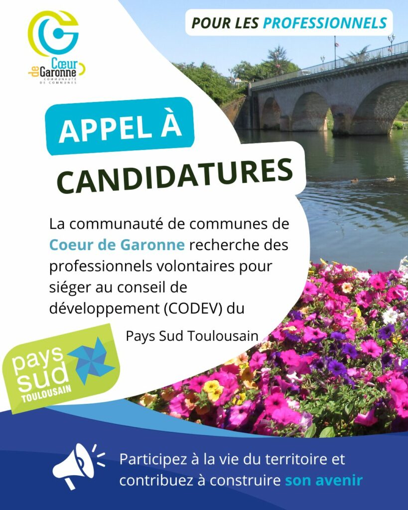 Professionnels, rejoignez le conseil de développement du Pays Sud Toulousain